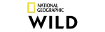 oqee tv